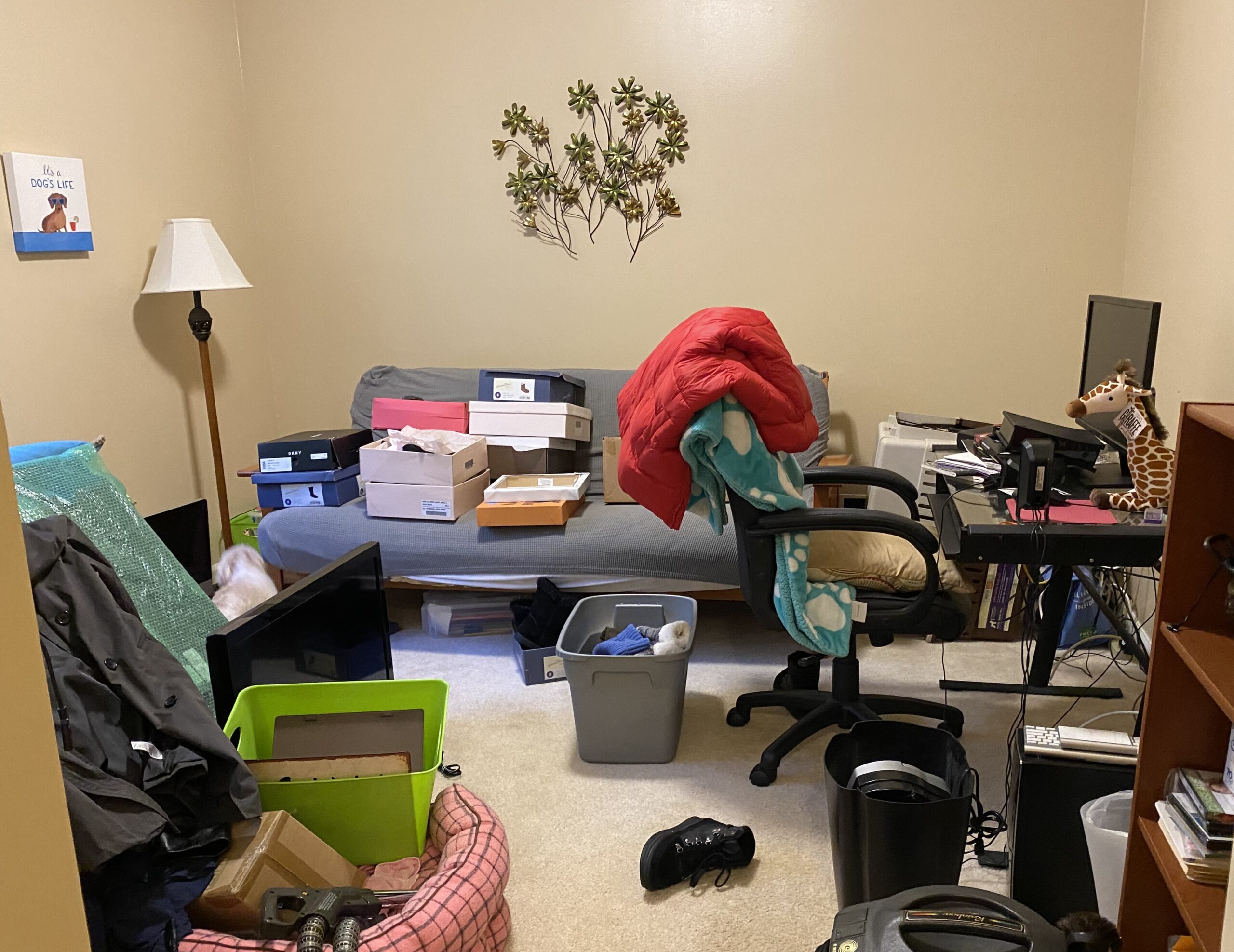 lounge before